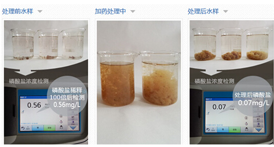 337p亚洲日本国产欧洲 生活污水去总磷除磷剂
