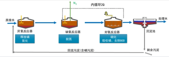 337p亚洲日本国产欧洲 A2O同步脱氮除磷工艺流程图