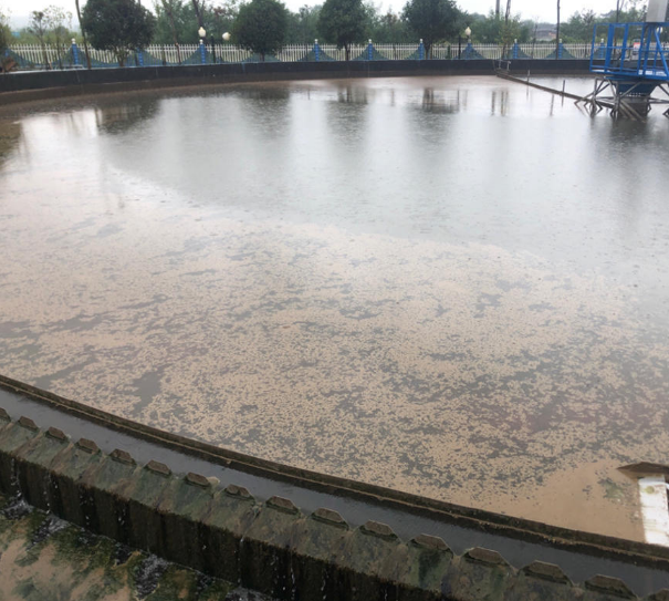 360水滴偷拍大学生情侣 受高浓度工业废水冲击,生活污水厂瘫痪、受罚怎么办
