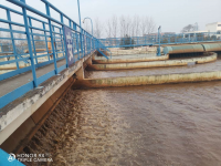 温度对污水除磷有什么影响